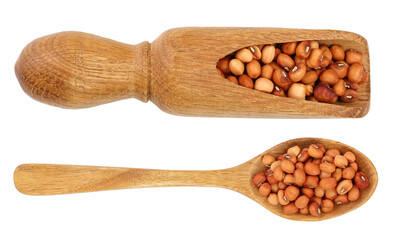 Wall Mural - soybeans in wooden spoon isolated on white background top view