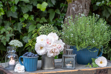 Wall Mural - Tisch-Arrangement mit weißem Rosenstrauß, Heidelbeeren in Tasse und Thymian im Porzellan-Topf