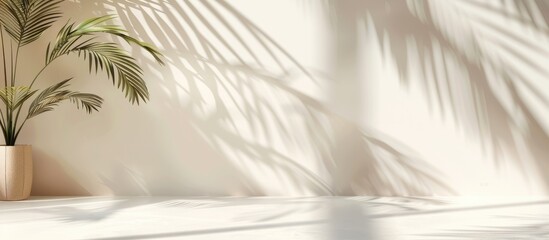 Sticker - Abstract summer mock-up with palm leaf shadow on white wall and cream pastel floor