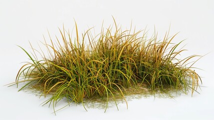 A 3D model of a patch of grass affected by drought, with dry and yellowing blades mixed with green, isolated on a white background for contrast.