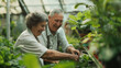 © Kyuubisa - Elderly couple gardeners working in the garden greenhouse with their family