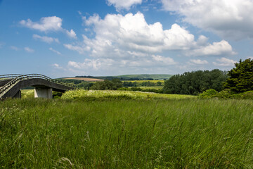 Wall Mural - A green Sussex landscape in early summer, with a footbridge along the South Downs Way