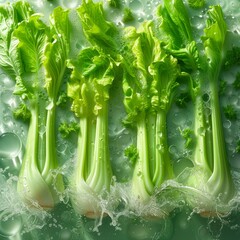 Wall Mural - Photo of a fresh celery