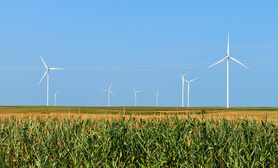 electricity generating station. alternative energy windmill farm. wind turbines standing tall in a f
