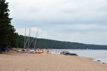 Wall Mural - Shore of Lake Ladoga at summer day.