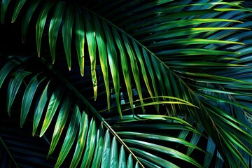 Canvas Print - perfect for projects seeking a moody, nature-inspired backdrop.