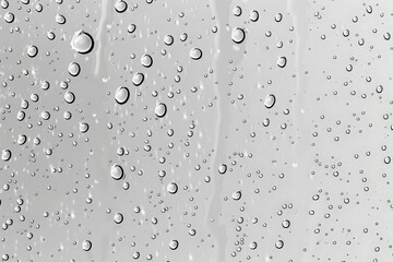 Canvas Print - the image features a transparent background and sharp focus, making it perfect for design projects.
