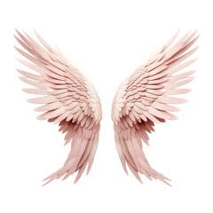 Wall Mural - soft pink angel wings on white isolated background