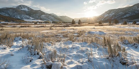 Wall Mural - View of a snowy meadow with rocky mountain peaks in the background.