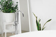 © Pixel-Shot - Bathtub with silver tap in light room, closeup