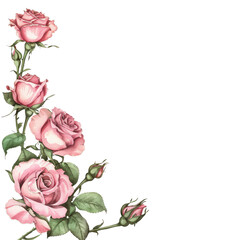 Wall Mural - rose