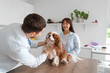 © Pixel-Shot - Male veterinarian with owner and cute dog on table in clinic