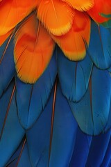 Canvas Print - Vibrant Macaw Feathers