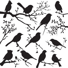 Wall Mural - set of silhouettes of birds on a branch