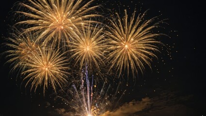 Golden Fireworks Display in Night Sky