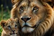 © Tatton - portrait of a lion with baby