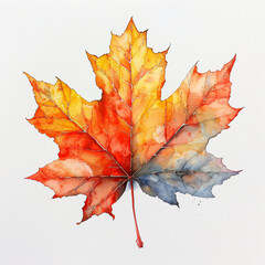 Poster - A vibrant watercolor illustration of a maple leaf, representing the beauty of the fall season. Suitable for art prints, home decor, and seasonal designs.