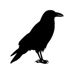 Canvas Print - Crow raven bird vector silhouette