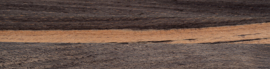 Poster - Fossil beech wood texture in close up. Panoramic wood veneer texture.