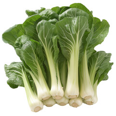 Wall Mural - Fresh Stack of Bok Choy on White Background - Organic Asian Greens Displayed Neatly for Healthy Cooking Ideas