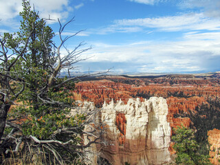 A lightcolored limestone arch, illuminated by the afternoon sun, against the hoodoo filled landscape of Bryce Canyon.