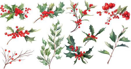 Mistletoe branches watercolor clipart
