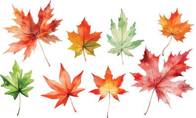 maple leaves watercolor clipart