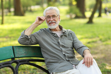 Wall Mural - Portrait of happy grandpa with glasses on bench in park