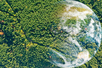 Wall Mural - Save the planet. Aerial view of coniferous forest and planet Earth, double exposure