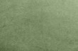 © New Africa - Sage green textured surface as background, closeup