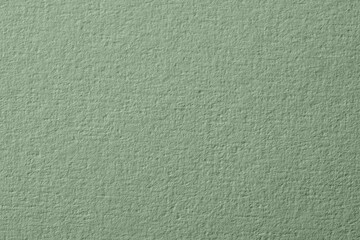 Wall Mural - Sage green paper sheet as background, closeup