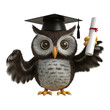 © chalindu - Owl with graduation cap