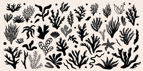 Wall Mural - abstract underwater plants shapes, forms, seaweed, algae, corals vector illustration design set. dif