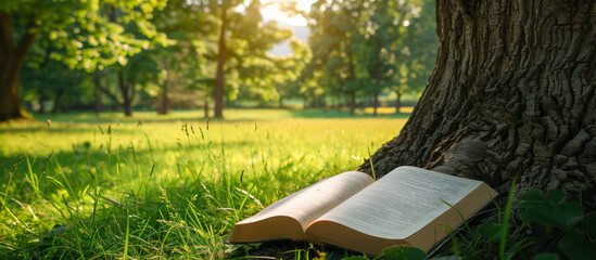 summer reading book under a tree city park