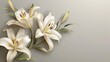 © Bijac - minimalist sympathy card with delicate lily flowers on muted grey background concept illustration