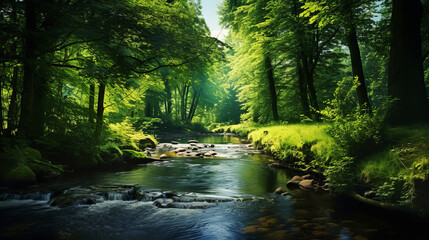 Lush green trees forest with a lake natural landscape peaceful calm place like heaven