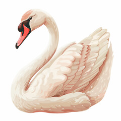 there is a white swan with a red beak sitting on the water