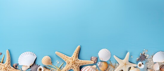 Wall Mural - Copy space image of a summer themed flat lay featuring seashells on a serene blue background evoking the spirit of vacation and creativity