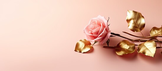 Aufkleber - Greeting card template Top view flat lay with copy space Gold rose with golden leaves on pink background Gold rose flower Summer or autumn composition Art