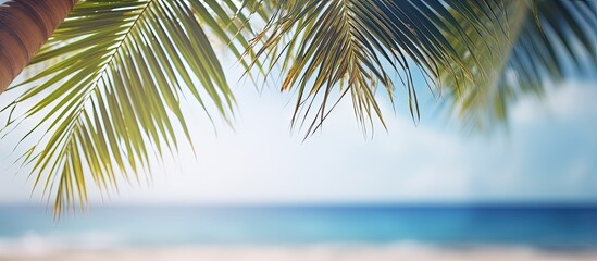 Poster - Sand with blurred Palm and tropical beach bokeh background Summer vacation and travel concept Copy space