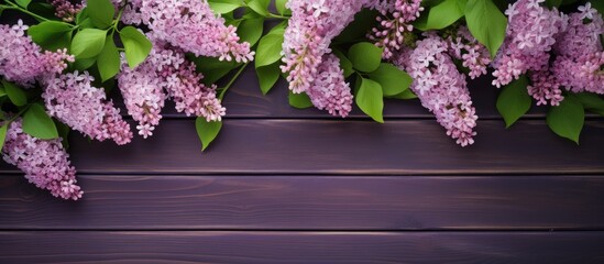 Poster - Branches of blossoming lilac on green wooden background diagonal arrangement copy space