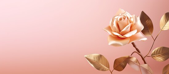 Aufkleber - Greeting card template Top view flat lay with copy space Gold rose with golden leaves on pink background Gold rose flower Summer or autumn composition Art