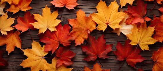Poster - Creative seasonal autumn background Close up of maple leaves with place for text Autumn background Top view flat lay view from above. copy space available