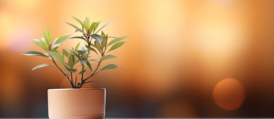 Poster - Tree that decorate the room Pot fake plant with bokeh effect. copy space available