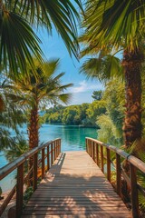 Walkway over blue sea water with tropical palm tree