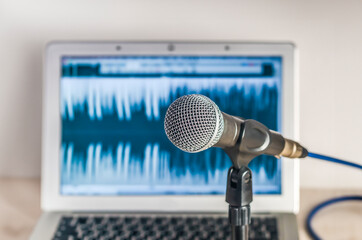 Wall Mural - Professional microphone and wave form on screen