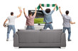 © Ljupco Smokovski - Rear view shot of a group of young men watching a football match on tv and cheering