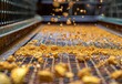 © Lucianastudio - A close up of gold nuggets on a sieve filter with fine soil particles falling through, highlighting the richness of the resource