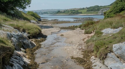Wall Mural - the waters seem to boil as the bore tide pushes its way through the narrow bay.