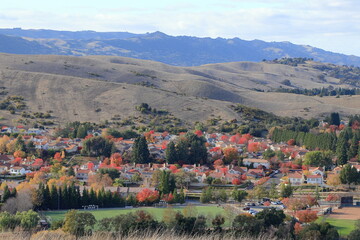 Wall Mural - Autumn colors light up the streets of San Ramon, California